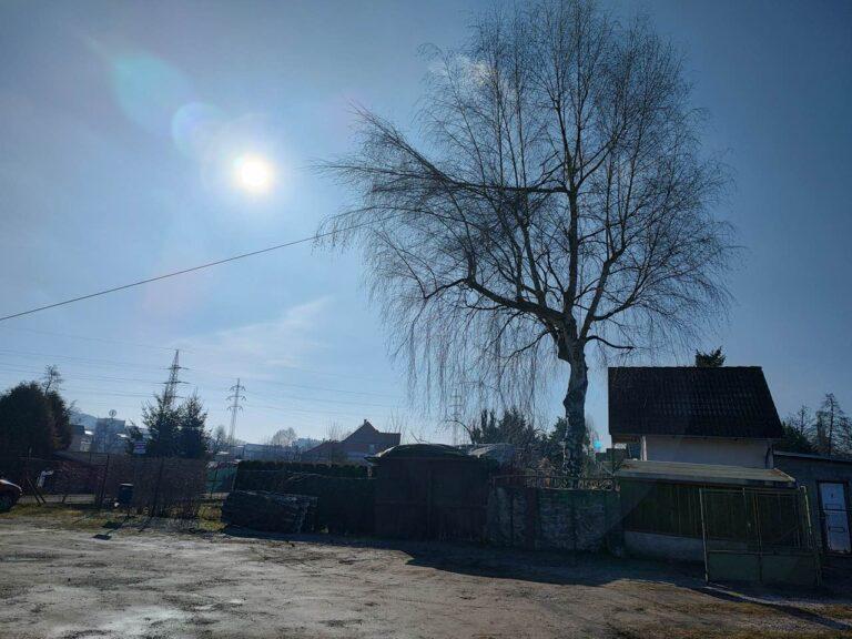 Kácení břízy ve Strakonicích